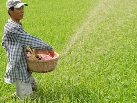 Lợi nhuận nhóm phân bón quý 3/2022: Đạm Hà Bắc bứt phá gấp 3 lần, Đạm Phú Mỹ và Đạm Cà Mau tăng gần 100%