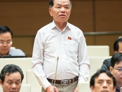 ĐBQH Lê Thanh Vân: Đề nghị rà soát bằng tiến sĩ, thạc sĩ của cán bộ trung, cao cấp