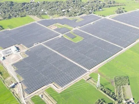 Bamboo Capital (BCG): M&A "đóng băng" khiến lợi nhuận quý 3/2022 chỉ còn 39 tỷ đồng dù doanh thu tăng vọt