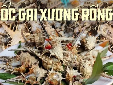 Loại ốc nổi tiếng của Phú Quốc có giá 270.000 đồng/kg