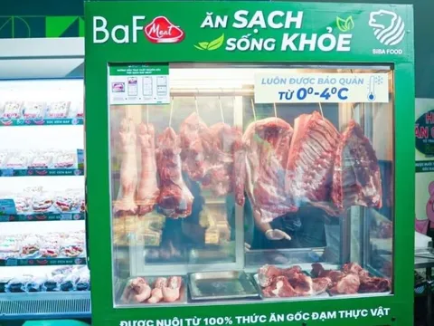 Bất chấp doanh thu giảm một nửa, “Heo ăn chay” BAF lãi gấp 3 lần, mỗi ngày “bỏ túi” hơn 1,75 tỷ lợi nhuận trong quý 3/2022