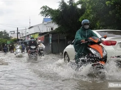 Khánh Hòa chủ động triển khai các biện pháp ứng phó với bão số 7