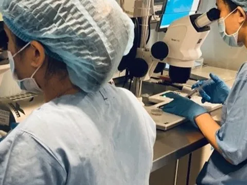 Làm thụ tinh trong ống nghiệm miễn phí cho các cặp hiếm muộn có kinh tế khó khăn