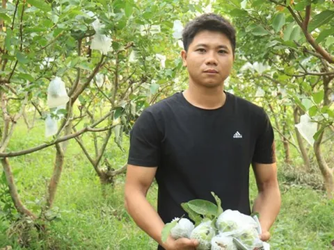 Về quê ‘ôm’ 10 ha đất, thanh niên 9x trồng đủ thứ cây, cho doanh thu hơn 1 tỷ đồng
