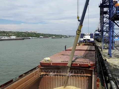 Nguồn cung lương thực sẽ ra sao sau khi Nga rút khỏi thỏa thuận ngũ cốc với Ukraine?