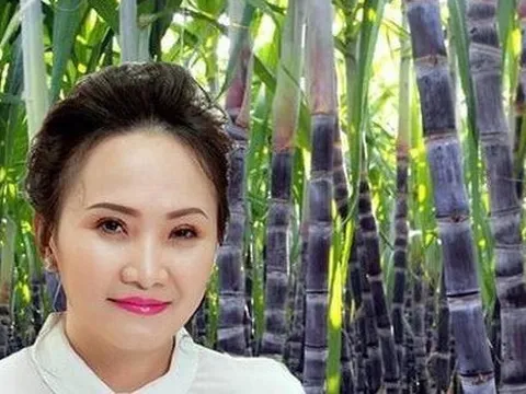 Vừa "tiết lộ" đang cân nhắc mua thêm cổ phiếu thì bị cổ đông "chê" hiệu suất đầu tư SBT thấp, bà Đặng Huỳnh Ức My nói gì?