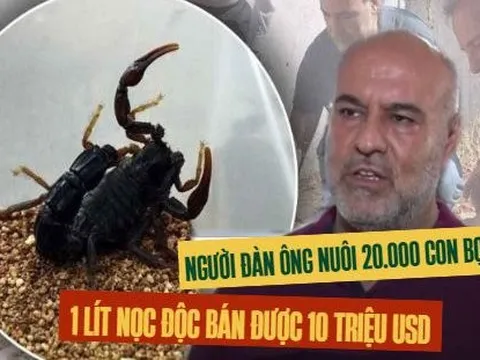 Một ngành kinh doanh ''béo bở'' giúp người đàn ông Thổ Nhĩ Kỳ thu về tiền khủng: Lập trang trại nuôi 20.000 con bọ cạp, 1 lít nọc độc trị giá 10 triệu USD