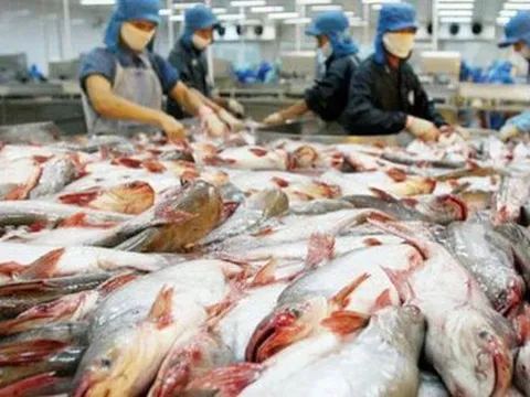 Lạm phát tại Mỹ phía bên kia bán cầu tác động ra sao tới số liệu tài chính của "Vua cá tra" Vĩnh Hoàn?