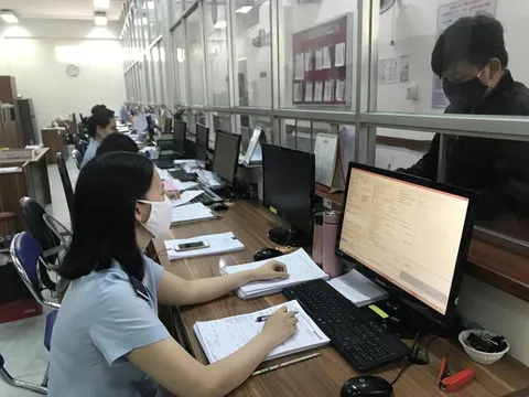 Hải quan TP HCM thu ngân sách đạt kỷ lục