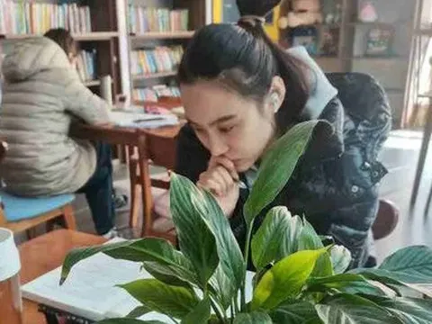 Ở nhà chỉ làm nội trợ và không có thu nhập, đây là cách người mẹ này bắt tay vào quản lý tài chính