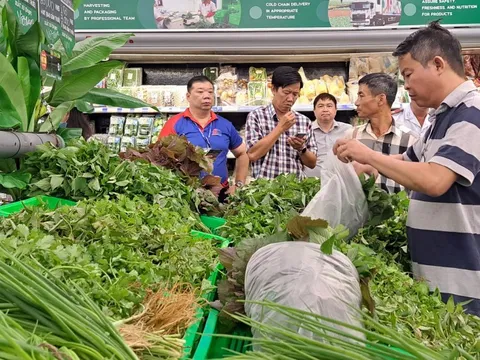 Vì sao rau trồng ở TP HCM chưa chen chân được vào siêu thị?