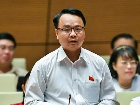 “Thanh tra không ra sai phạm nhưng UBKTTW vào thì phải xử lý hình sự”