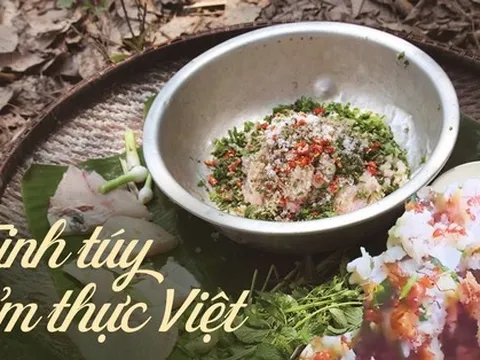 Cá gỏi kiến vàng Kon Tum: Đặc sản nức tiếng vùng đất bạt ngàn nắng gió Tây Nguyên