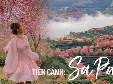 Du lịch Sa Pa mùa này để chiêm ngưỡng hoa mai anh đào nở đẹp như tiên cảnh