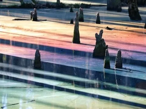 "Đầm lầy cầu vồng" đẹp như chốn thần tiên chỉ người may mắn mới bắt gặp