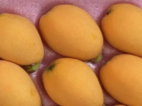 Hoa quả nhà giàu giá cao ngất ngưởng vẫn 'cháy' hàng