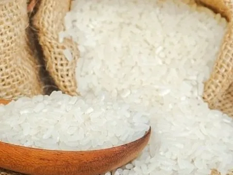 Loại gạo vừa soán ngôi ST25 giành giải gạo ngon nhất Việt Nam có gì đặc biệt? Giá bán ra sao?