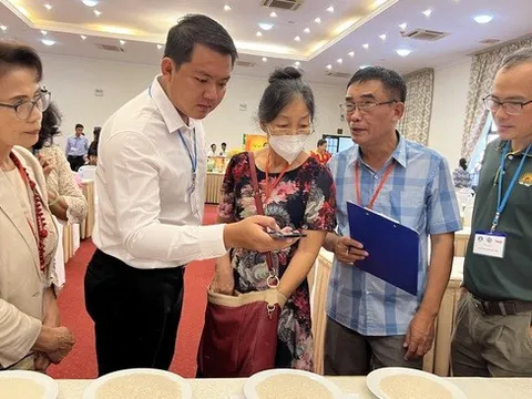 Nghi vấn 'đánh tráo' giống, đơn vị đoạt giải nhất Gạo ngon 2022 nói gì?