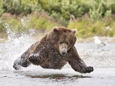 Tiếp tục làn sóng “call margin”: Chủ tịch Phát Đạt, DIC Corp bán giải chấp hàng triệu cp, lãnh đạo Hoa Sen phải lo bán ra dù ở vùng đáy