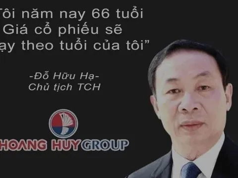 Cổ phiếu TCH đã giảm 75% về 6.800 đồng, chia cổ tức bằng tiền mặt 12%, vợ chồng Chủ tịch Đỗ Hữu Hạ sắp nhận về 354 tỷ cổ tức