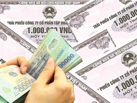 Duy nhất 1 đợt phát hành trái phiếu riêng lẻ được ghi nhận trong tháng 10