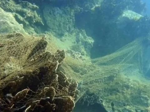 Tạm dừng hoạt động du lịch lặn biển tại một số khu vực trong vịnh Nha Trang