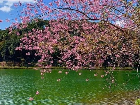 Xả stress với cảnh sắc thanh bình của "nàng công chúa ngủ trong rừng" ở Kon Tum