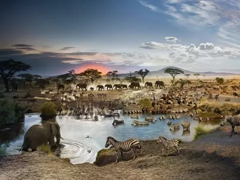 15 hình ảnh ấn tượng nhất trong suốt một thập kỷ qua