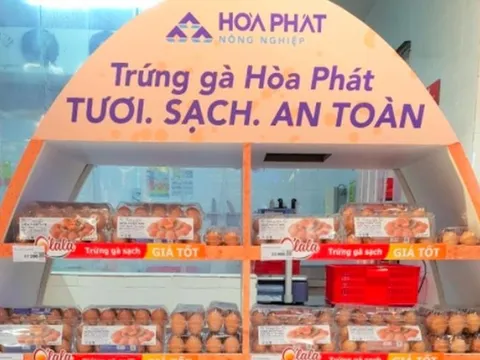 Vua thép Hòa Phát "dội bom trứng gà", bán hơn 1 triệu quả/ngày kể từ đầu tháng