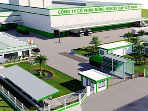 Dự án nuôi lợn nghìn tỷ của BAF ở Nghệ An bao giờ khởi công?