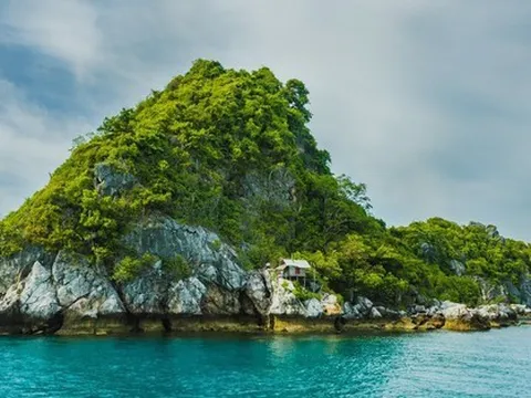 Đầu tư cổ phiếu DIG và CEO, một doanh nghiệp lỗ tới hơn 80% giá trị