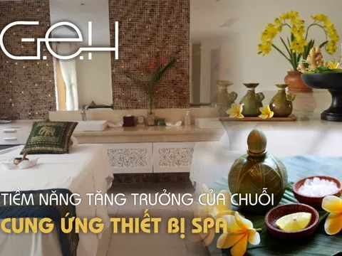 Tiềm năng tăng trưởng của G.E.H tại thị trường Việt Nam