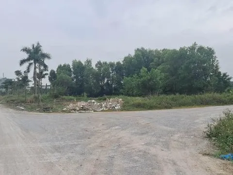 Bị tố sử dụng 46 tỷ đồng của nhà đầu tư để mua vàng, thành phố Thanh Hoá nói gì?