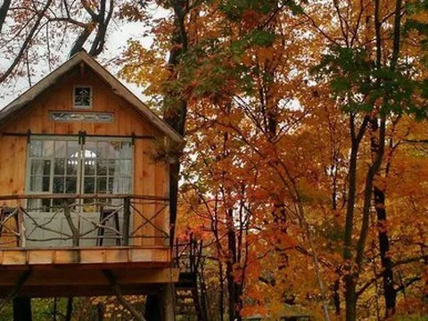 10 ngôi nhà trên cây với thiết kế ấn tượng