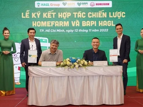 Bapi HAGL ra mắt trang thương mại điện tử, ký kết chiến lược với chuỗi thực phẩm nhập khẩu được quỹ của Alibaba rót vốn