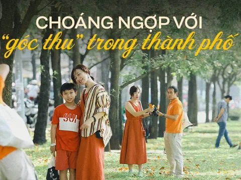 Khung cảnh mùa thu đang gây sốt tại TP.HCM, khắp nơi đều ngập lá vàng lãng mạn tựa phim Hàn