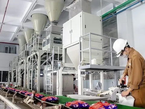 Hóa chất Đức Giang (DGC) dự kiến giảm giá bán và sản lượng xuất khẩu phốt pho vàng do nhu cầu điện tử sụt giảm mạnh, dự án Nghi Sơn chậm tiến độ