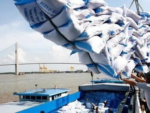 Giá gạo Việt Nam xuất khẩu cao nhất thế giới