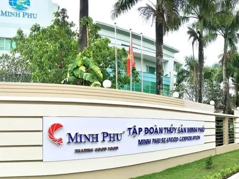 Phong độ của “vua tôm" Minh Phú sau khi trở lại sàn chứng khoán