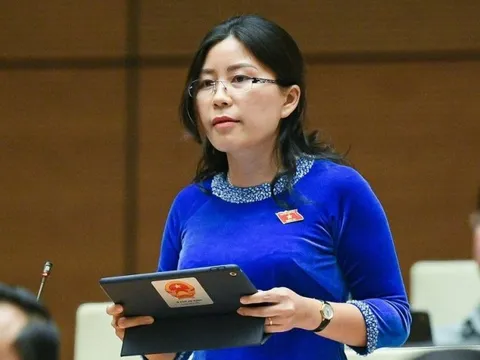 Công chức đã nghỉ việc vẫn lo sai sót trong hồ sơ đất đai từng xử lý