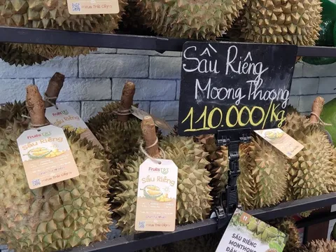 Hai “ông lớn” bắt tay xuất khẩu sầu riêng thương hiệu Việt sang Trung Quốc