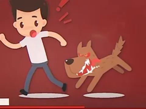 Hà Nội: Thêm 1 người tử vong sau 2 tháng bị chó cắn