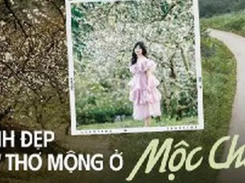 Cảnh sắc Mộc Châu những ngày chớm đông khiến hội mê sống ảo không thể bỏ lỡ