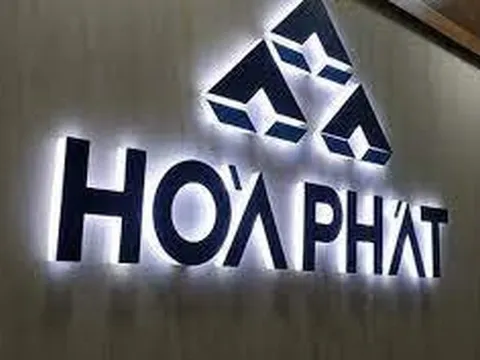 Vì sao Hòa Phát lại thế chỗ Vingroup, đứng đầu Top 10 doanh nghiệp tư nhân lớn nhất Việt Nam 2022?