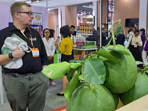 Nhiều đoàn Mỹ, Nhật, Pháp đến TP HCM tìm mua trái cây, thực phẩm chế biến