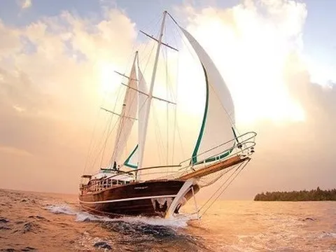 Đơn hàng xuất khẩu giảm đột ngột ngay lúc cao điểm: Doanh nghiệp dệt may, thuỷ sản nên làm gì để “vượt bão”?