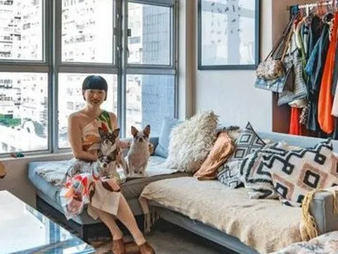 Căn hộ 150m² với năng lượng tích cực ở khắp nơi