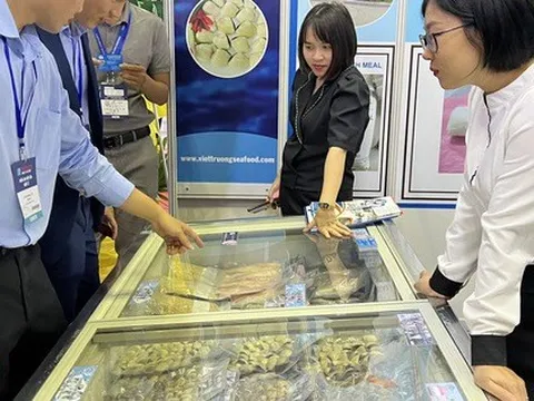 Xuất khẩu nghêu giảm dần, nhiều nhà máy đóng cửa