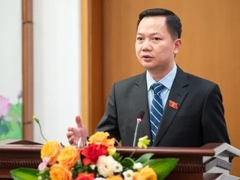 Có thể đấu giá tất cả biển số ô tô không phụ thuộc nơi đăng ký hộ khẩu