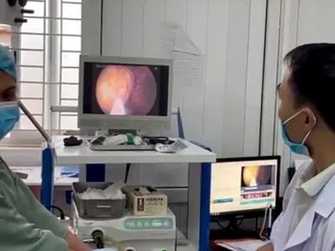 Ăn 1kg hồng giòn, người đàn ông bị chảy máu dạ dày suýt mất mạng